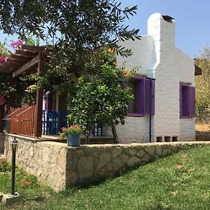  Apart Otel Koy Evi Türkiye